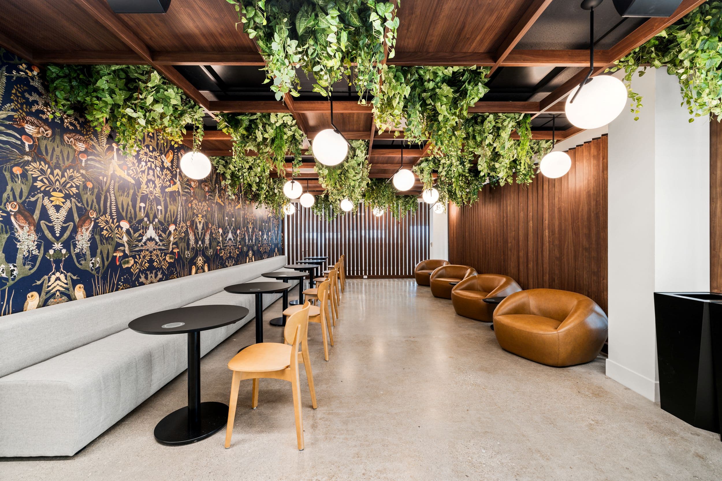 Cafe 295 at Jilani Place