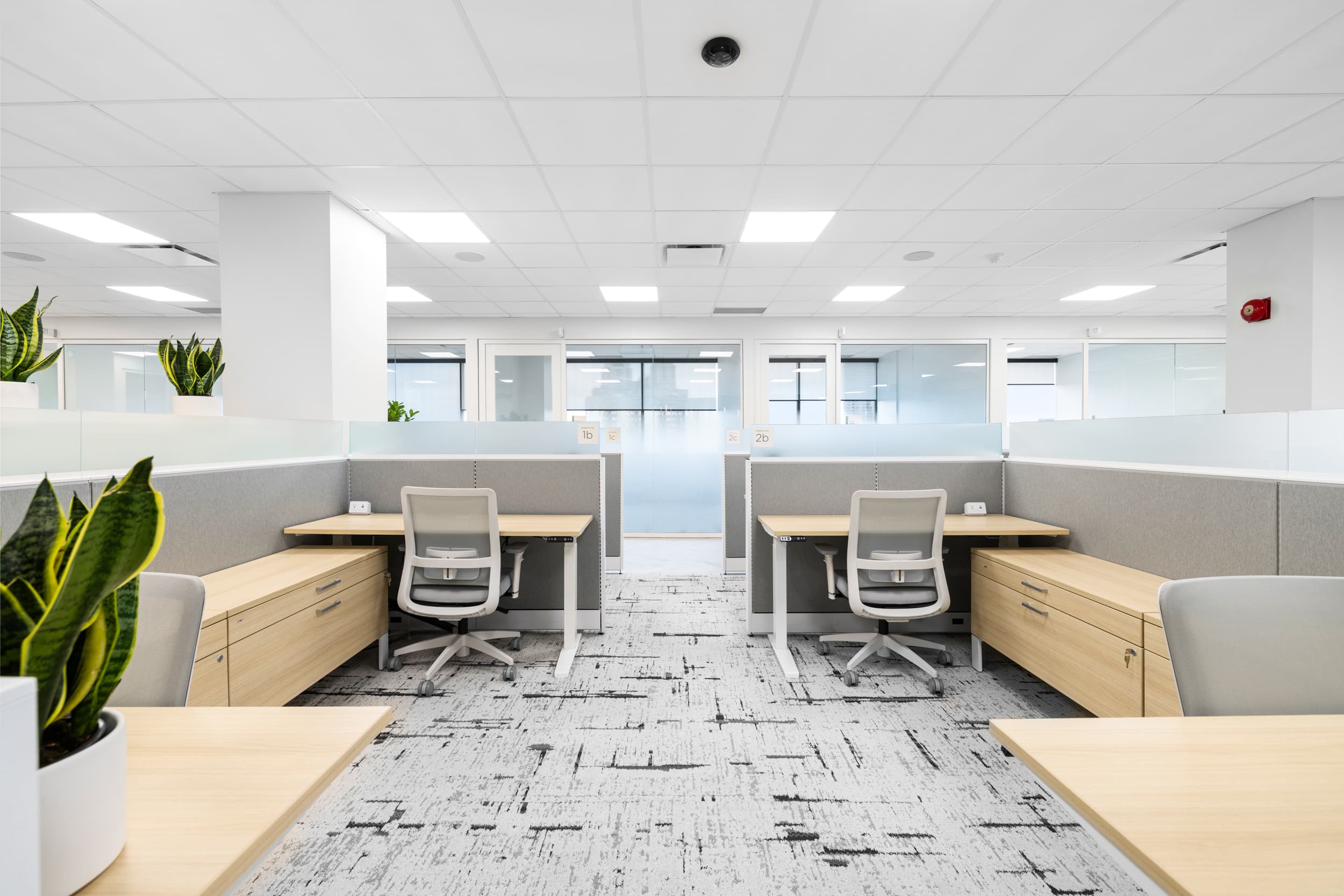 Coworking desks at Jilani Place